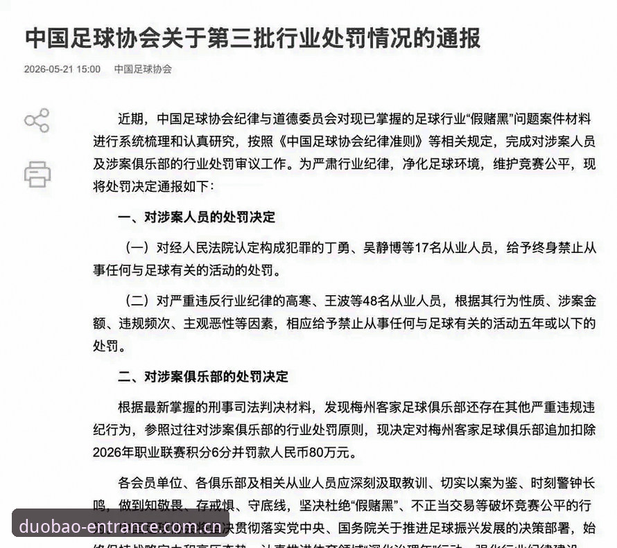 中国足球第三批禁足名单详解:17人终身禁足48人受罚